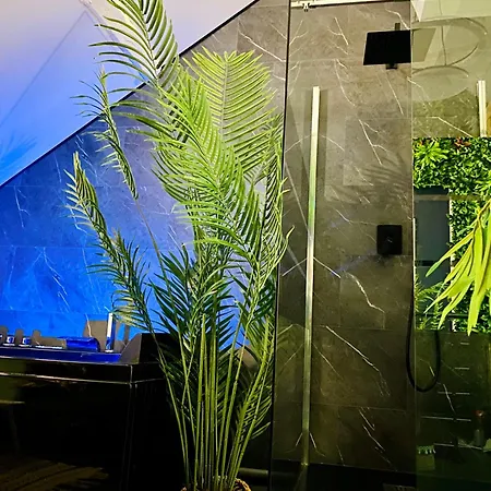 Lägenhet Saphir - Sauna Balneo Chromotherapie Massage