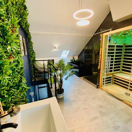 Appartement Saphir - Sauna Balneo Chromotherapie Massage